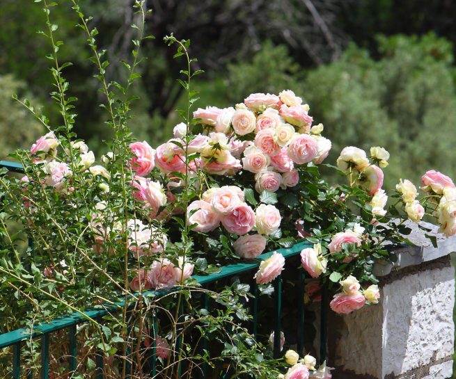 Lefkada Villa Casa Serenata Exterior